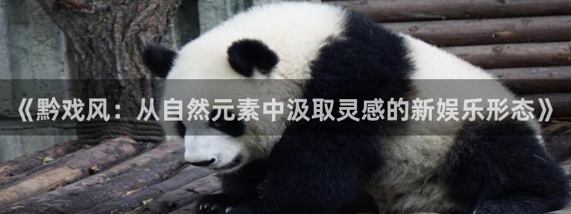7790必发集团官网入口：《黔戏风：从自然元素中汲取灵感的新娱乐形态》