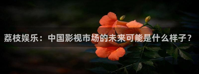 必发集团官网登录：荔枝娱乐：中国影视市场的未来可能是什么样子？