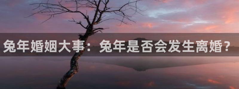 6690必发集团：兔年婚姻大事：兔年是否会发生离婚？