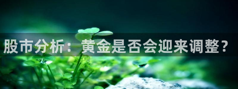 7790cnm必发集团app下载：股市分析：黄金是否会迎来调整？