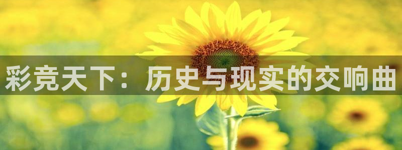 7790必发集团登录入口：彩竞天下：历史与现实的交响曲