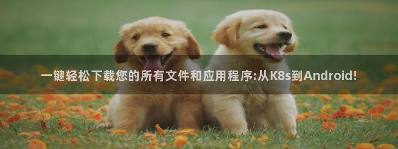 7790必发集团：一键轻松下载您的所有文件和应用程序:从K8s到Android!