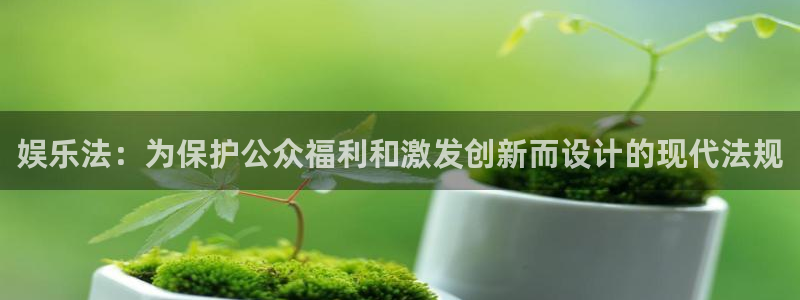 7790cnm必发集团：娱乐法：为保护公众福利和激发创新而设计的现代法规
