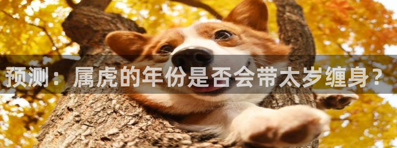 必发集团官网