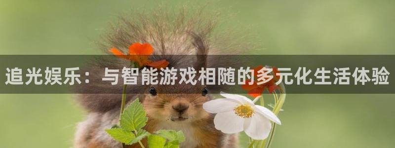 7790cnm必发集团登录：追光娱乐：与智能游戏相随的多元化生活体验