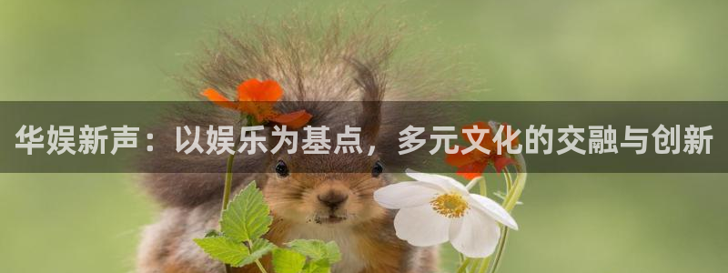 必发集团游戏官网：华娱新声：以娱乐为基点，多元文化的交融与创新