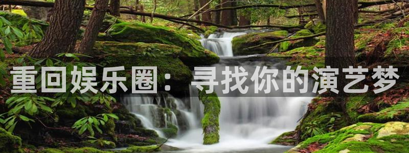 必发集团app下载：重回娱乐圈：寻找你的演艺梦