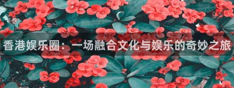 7790必发集团官网入口：香港娱乐圈：一场融合文化与娱乐的奇妙之旅