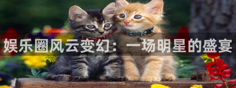 7790必发集团下载：娱乐圈风云变幻：一场明星的盛宴