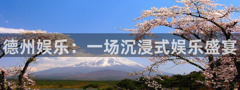 7790必发集团登录入口：德州娱乐：一场沉浸式娱乐盛宴