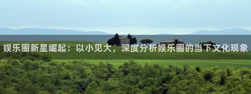 必发集团网站app：娱乐圈新星崛起：以小见大，深度分析娱乐圈的当下文化现象
