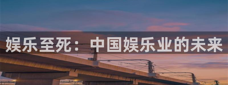 6690必发集团官网：娱乐至死：中国娱乐业的未来