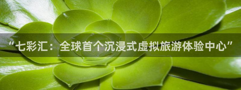 6690必发集团官网：“七彩汇：全球首个沉浸式虚拟旅游体验中心”