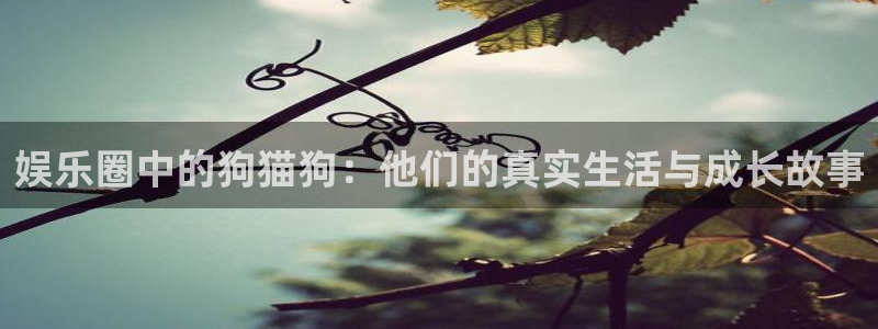 7790必发集团登录：娱乐圈中的狗猫狗：他们的真实生活与成长故事