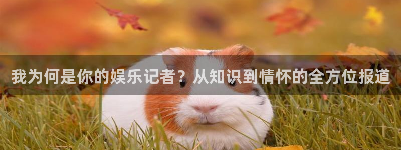 必发集团网址：我为何是你的娱乐记者？从知识到情怀的全方位报道