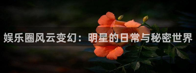 必发7790电子集团,必发集团欢迎光临：娱乐圈风云变幻：明星的日常与秘密世界