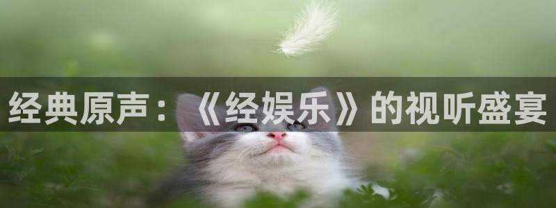 7790必发集团app官网最新版本：经典原声：《经娱乐》的视听盛宴