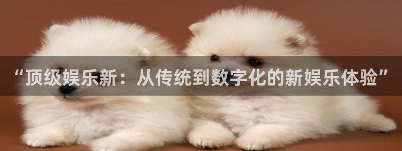 必发集团app7790下载安装：“顶级娱乐新：从传统到数字化的新娱乐体验”