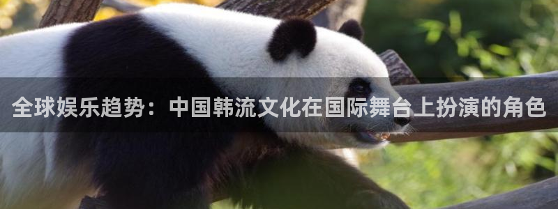 7790必发集团：全球娱乐趋势：中国韩流文化在国际舞台上扮演的角色