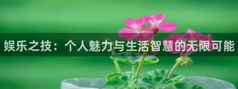 7790必发集团app官网最新版本：娱乐之技：个人魅力与生活智慧的无限可能