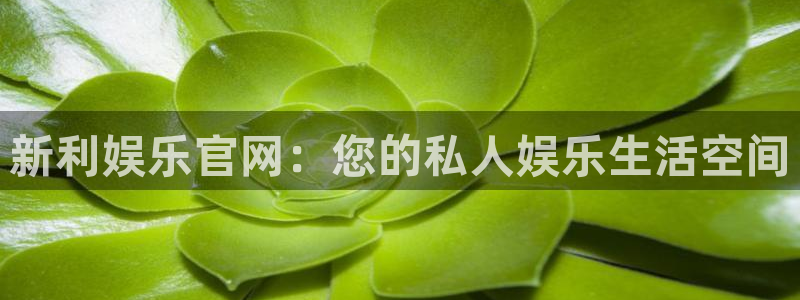 7790必发集团客服：新利娱乐官网：您的私人娱乐生活空间