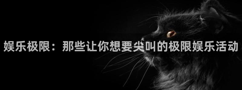 7790cnm必发集团登录：娱乐极限：那些让你想要尖叫的极限娱乐活动