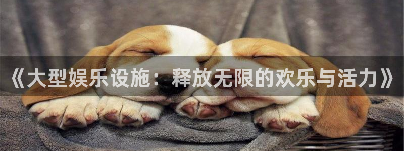 7790必发集团：《大型娱乐设施：释放无限的欢乐与活力》