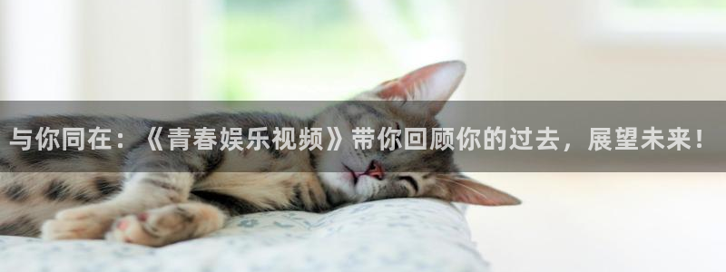 6690必发集团app：与你同在：《青春娱乐视频》带你回顾你的过去，展望未来！