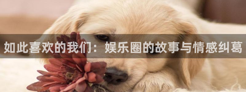 必发集团官网登录：如此喜欢的我们：娱乐圈的故事与情感纠葛